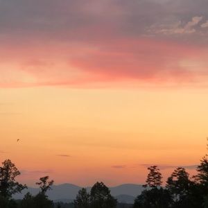 Meet your Posher, Dustin